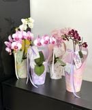 Set 5 hộp giấy cầm tay hình tròn chống nước