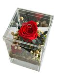 Hoa Sấy Khô | Preserved Flowers