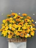 Giỏ hoa hướng dương mix hồng vàng & tulip vàng G21