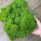 Rêu Sợi Nhân Tạo Gói 500g