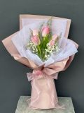 Tulip Hồng Nhỏ Xinh | Little Pink