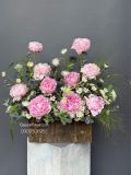 Hộp hoa mẫu đơn đồng nội | Pink Peony Garden G93