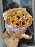 Bó Hoa Hướng Dương | You Are My Sunshine