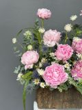 Hộp hoa mẫu đơn đồng nội | Pink Peony Garden G93