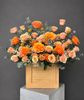 Hộp hoa hồng cam rực rỡ | Orange Glow G138