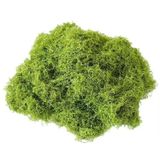 Rêu Sợi Nhân Tạo Gói 500g