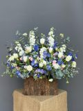 Vườn Tulip Trắng & Delphinium Xanh