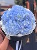 Bó cẩm tú cầu xanh | Blue Hydrangea Cloud G105