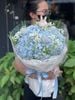 Bó Hoa Cẩm Tú Cầu Xanh | Blue Bunny