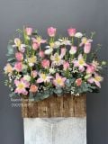 Vườn Tulip Hồng | Pink Tulip Garden