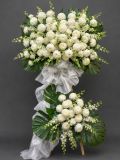 Kệ Hoa Chia Buồn Cúc Mẫu Đơn Trắng | White Chrysanthemum Sympathy G171