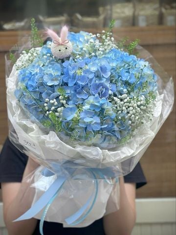Bó Cẩm Tú Cầu Xanh | Blue Bunny