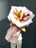Tulip Dịu Dàng | Sweet Tulips