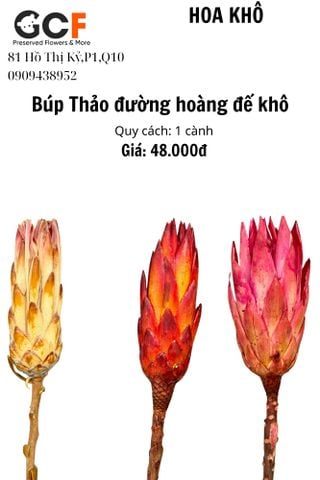 Búp Thảo Đường Hoàng Đế Khô