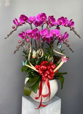 Chậu lan hồ điệp hồng tím 6 cành – phối phụ kiện bướm decor G24
