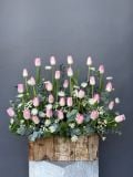 Vườn Tulip Hồng | Pink Tulip Garden