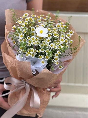 Bó Cúc Tana | Little Daisy