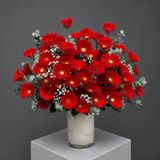 Bình Đồng Tiền Đỏ Rực Rỡ | Radiant Red Gerbera G165