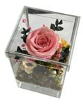 Hoa Sấy Khô | Preserved Flowers