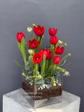 Vườn Tulip Đỏ | Red Tulip Garden