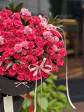 Bó hoa hồng chùm Saphia mix cẩm chướng – nổi bật & ấn tượng G9