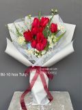 Mười Đóa Yêu Thương | Ten Red Tulips