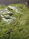 Rêu Sợi Nhân Tạo Gói 500g