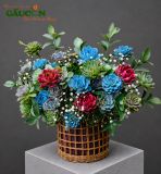 Giỏ sen đá đa sắc | Colorful Succulent G163