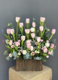 Vườn Tulip Hồng