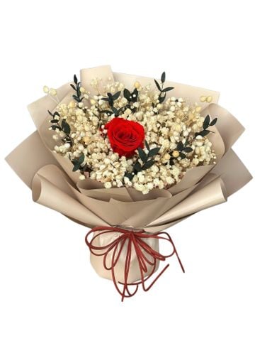 Hoa Sấy Khô | Preserved Flowers