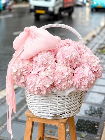 Giỏ Hoa Cẩm Tú Cầu Hồng