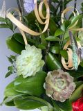 Chậu lan hồ điệp trắng dáng xoè đại 12 cành – chậu sứ G26