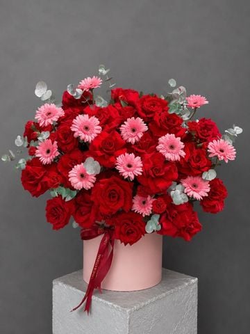 Hộp hoa hồng đỏ & đồng tiền hồng | Rosy Love G145