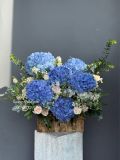Vườn Cẩm Tú Cầu Xanh | Blue Hydrangea Garden