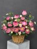 Giỏ sen hồng thanh nhã | Pink Lotus Garden G138