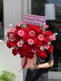 Hộp hoa hồng đỏ & đồng tiền hồng | Rosy Love G145