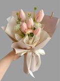 Tulip Hồng Dịu Dàng | Sweet Pink