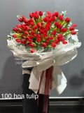 Trăm Đóa Yêu Thương | A Hundred Loves