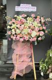 Kệ hoa chúc mừng tone hồng pastel G125