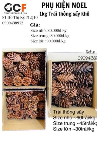 1kg Trái Thông Sấy Khô Trang Trí Noel