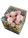 Hoa Sấy Khô | Preserved Flowers