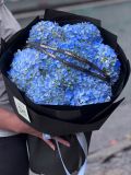 Bó Cẩm Tú Cầu Xanh | Blue Love