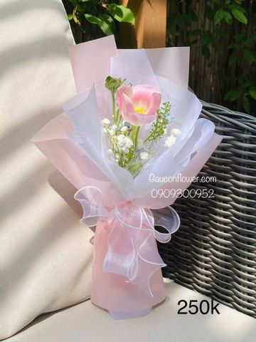 Tulip Hồng Một Bông | Just For You