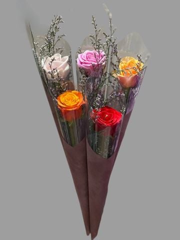 Hoa Hồng Một Bông | Just For You