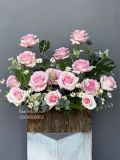 Vườn Hồng Christa Nhập Khẩu | Imported Christa Rose Garden