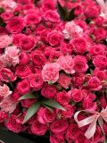 Bó hoa hồng chùm Saphia mix cẩm chướng – nổi bật & ấn tượng G9