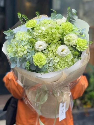 Xanh Dịu Êm | Soft Green