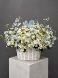 Giỏ hoa cúc hoạ mi trắng xanh | Blue Daisy Garden G146