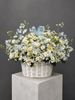 Giỏ hoa cúc hoạ mi trắng xanh | Blue Daisy Garden G146