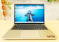 Laptop Dell 14 DC 14255/CPU AMD Ryzen AI 5 330/RAM 16Gb/SSD Nvme  512Gb/LCD 14' FHD/New Open box/mầu bạc